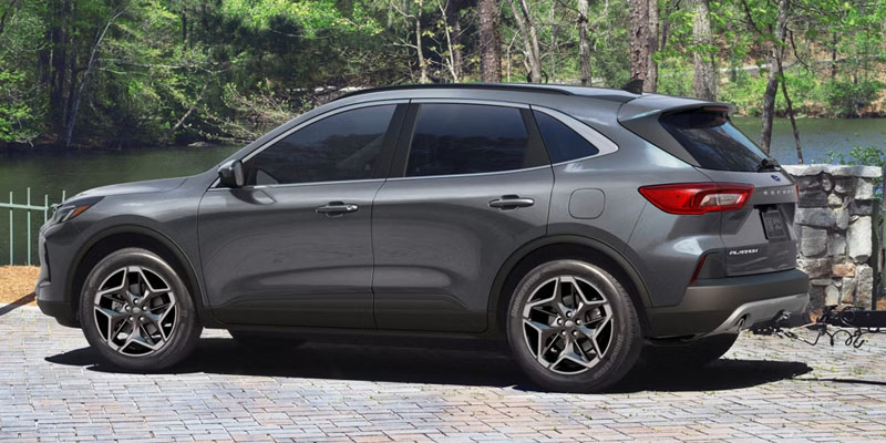 Gray Buick Vehicle parked near a serene lake surrounded by trees.

