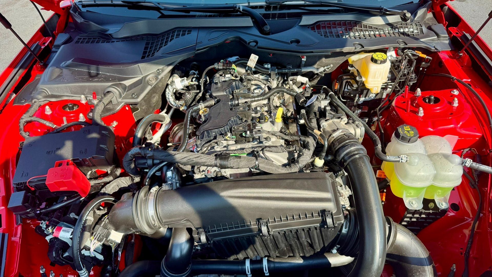 2025 Ford Mustang EcoBoost® Fastback