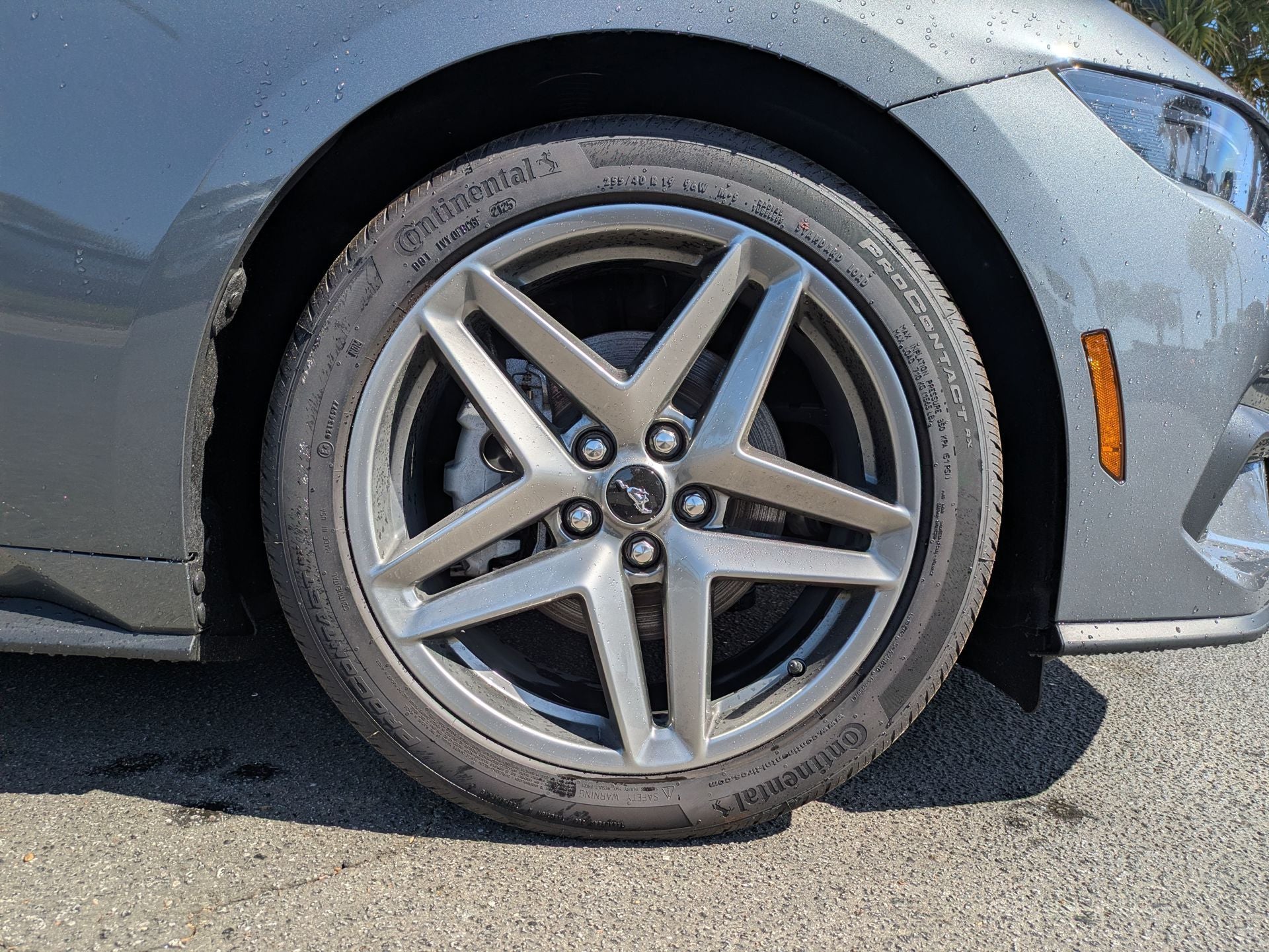 2025 Ford Mustang EcoBoost® Fastback