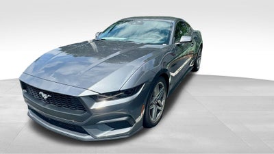 2025 Ford Mustang EcoBoost® Fastback