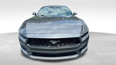2025 Ford Mustang EcoBoost® Fastback
