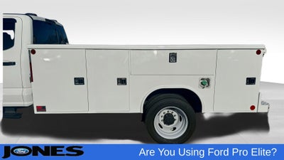 2025 Ford F-450 F-450® XL