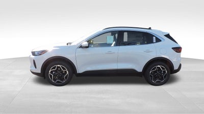 2026 Ford Escape Hybrid Platinum™