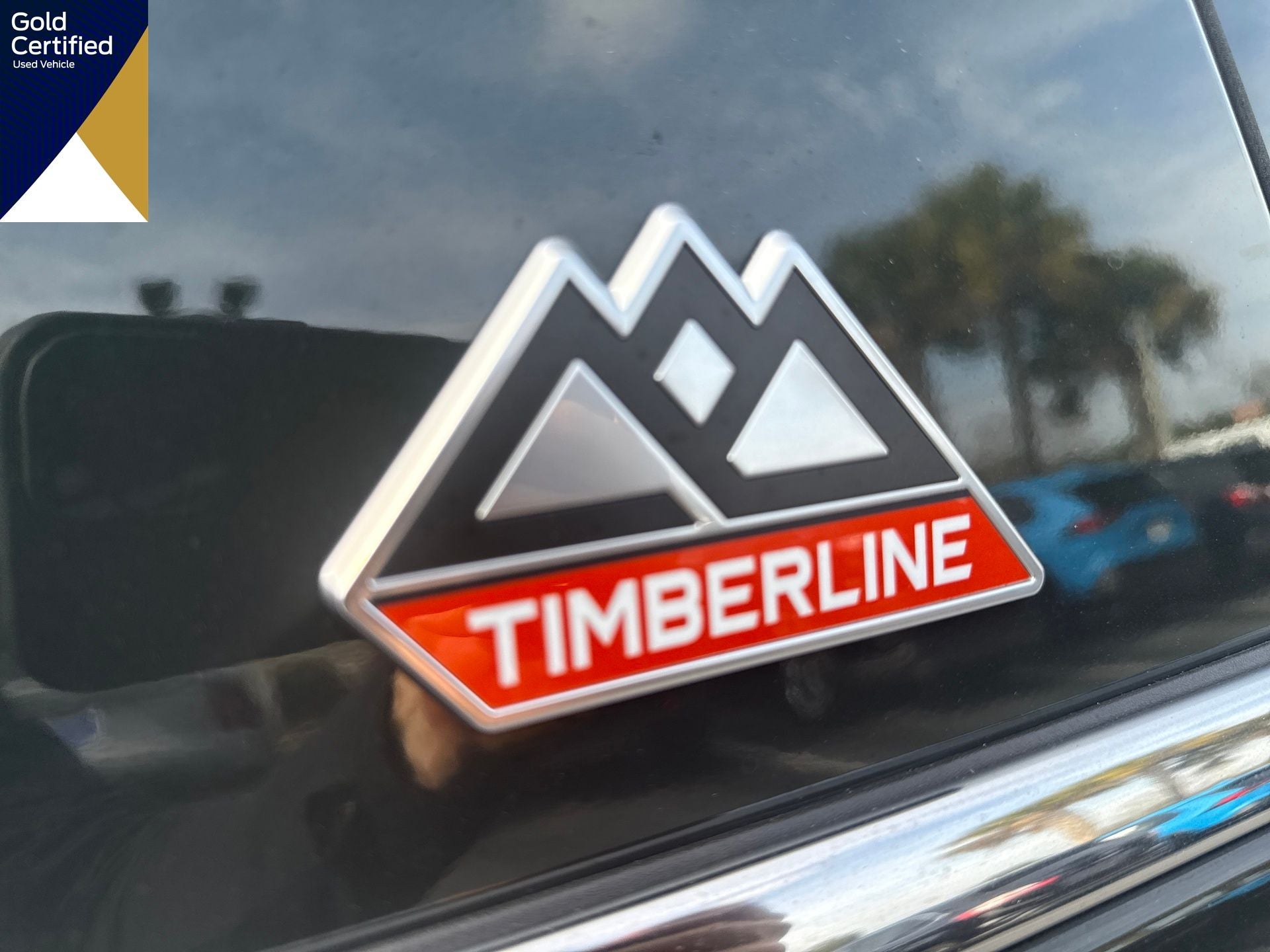 2022 Ford Expedition Timberline 4WD