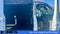 2025 Ford Transit-250 Cargo Van