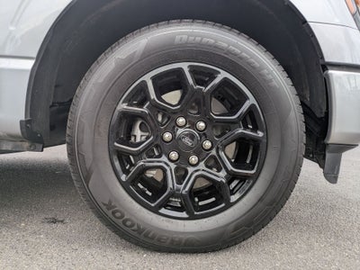 2025 Ford F-150 STX®