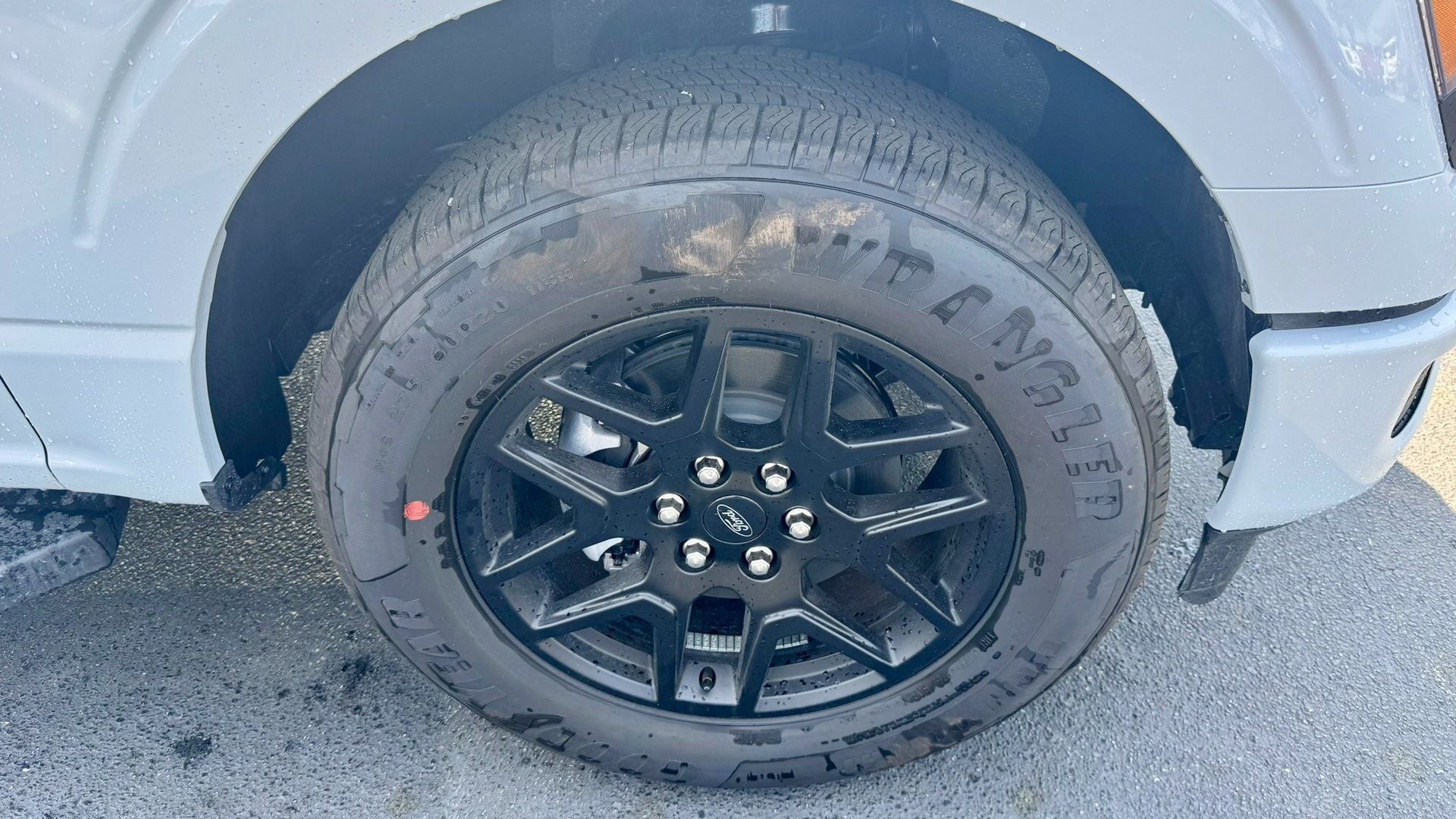 2025 Ford F-150 STX®