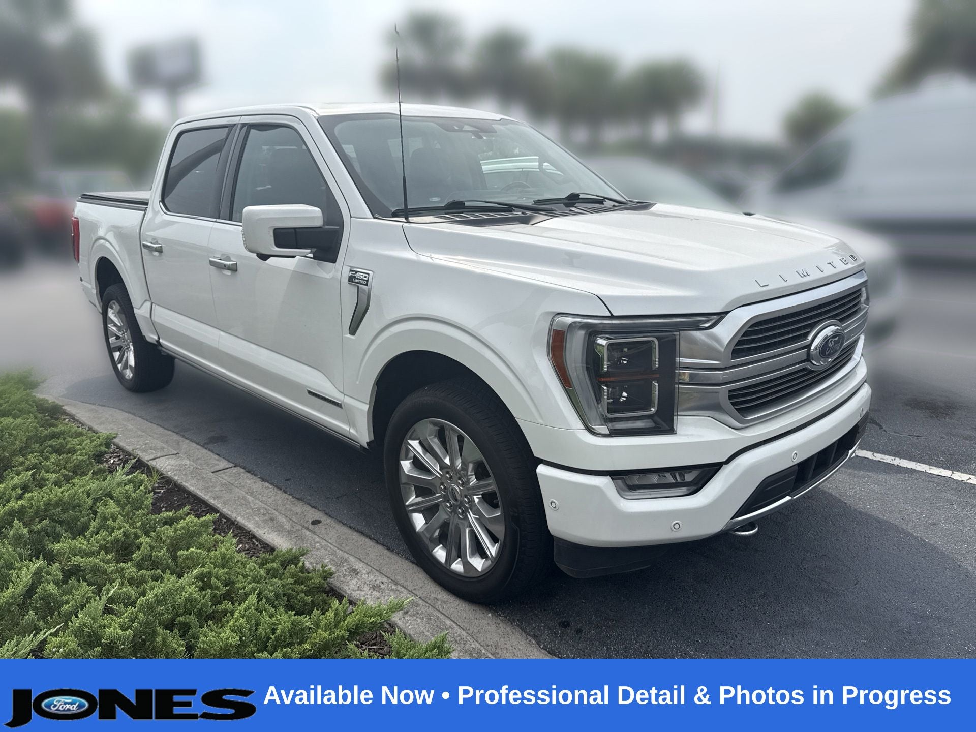 2023 Ford F-150 Limited