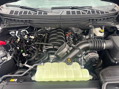 2026 Ford F-150 Tremor®