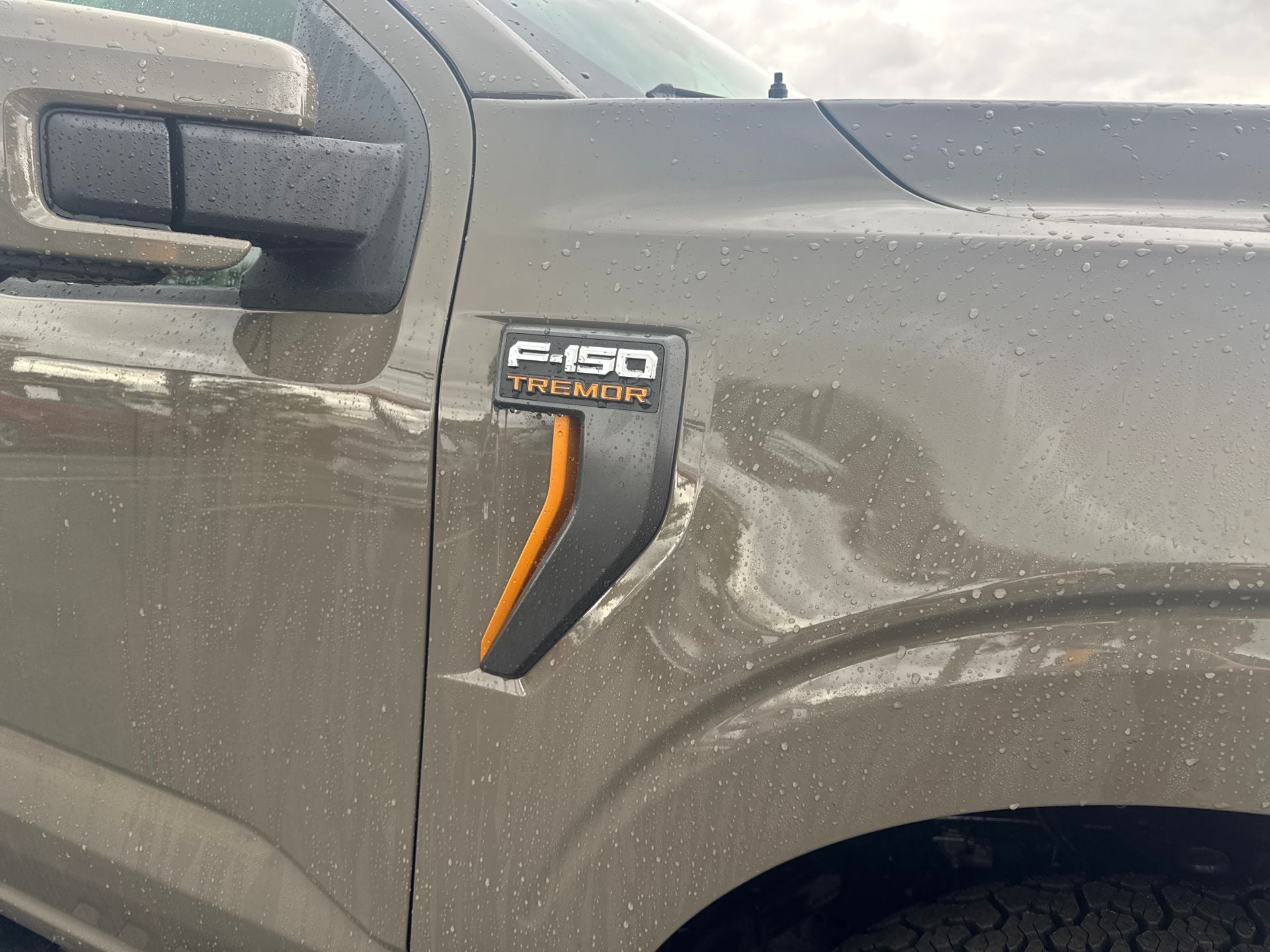 2026 Ford F-150 Tremor®