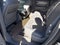 2014 Chevrolet Traverse LS